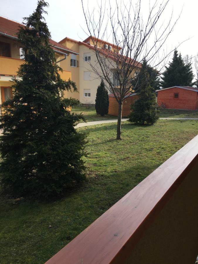 Orchidea Apartman Hegykő Extérieur photo
