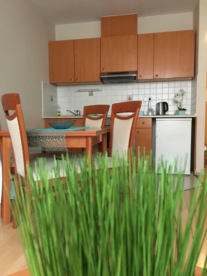 Orchidea Apartman Hegykő Extérieur photo