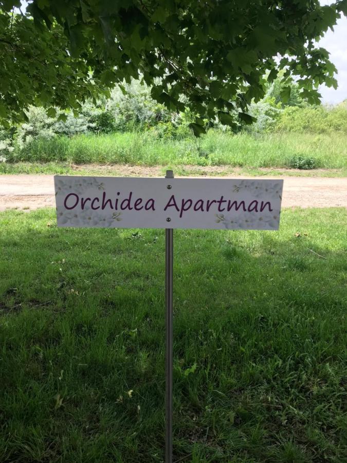 Orchidea Apartman Hegykő Extérieur photo